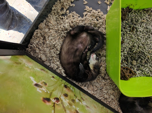 Pet Supply Store «Petco Animal Supplies», reviews and photos, 20111 US-19 #201c, Cranberry Twp, PA 16066, USA