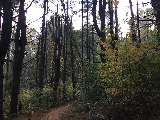 Nature Preserve «Ashland Nature Center of Delaware Nature Society», reviews and photos, 3511 Barley Mill Rd, Hockessin, DE 19707, USA