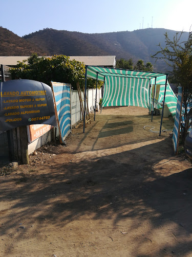 Opiniones de Lavado Automotriz en Nogales - Servicio de lavado de coches