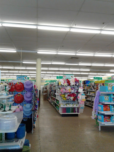 Dollar Store «Dollar Tree», reviews and photos, 278 E Geneva Rd, Wheaton, IL 60187, USA