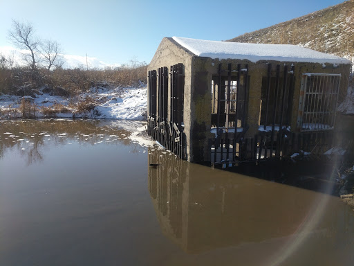 Wildlife Park «Willow Spring Open Space», reviews and photos, 7100 S Holly St, Centennial, CO 80112, USA