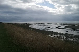 RSPB Freiston Shore image