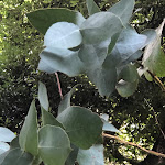 Photo n° 1 de l'avis de Pascal.u fait le 22/08/2021 à 15:05 pour Le Kestellic à Plouguiel