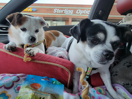 Pet Supply Store «Concord Pet Foods & Supplies», reviews and photos, 19287 Miller Rd, Rehoboth Beach, DE 19971, USA