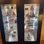 Photo n°4 de l'avis de Renzo.e fait le 09/11/2022 à 21:09 sur le  Ristorante Da Lina à Stimigliano