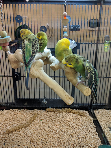 Pet Supply Store «PetSmart», reviews and photos, 1225 Industrial Rd, San Carlos, CA 94070, USA
