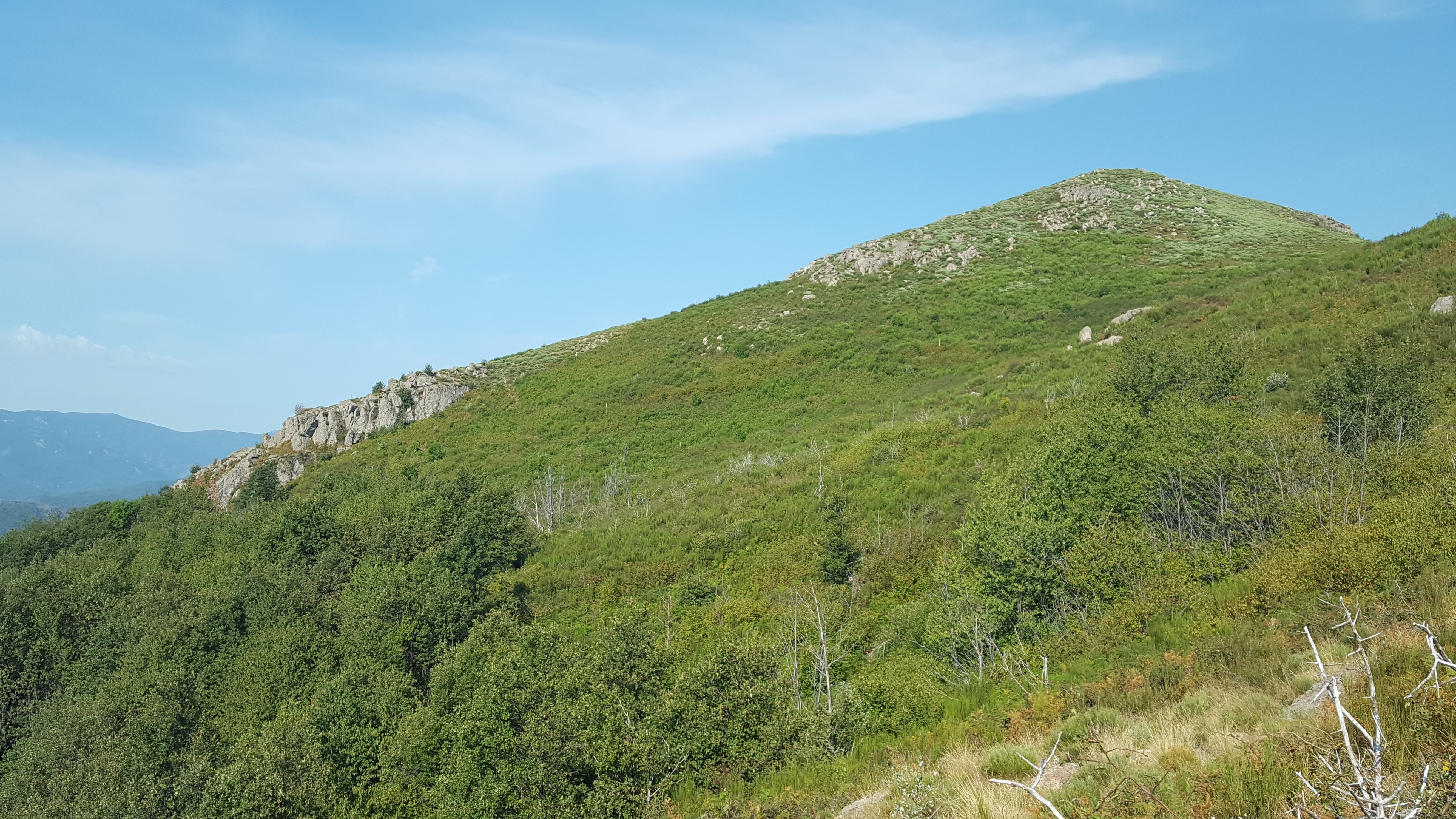 Photo n° 26 de l'avis de Joël.a fait le 24/08/2017 à 07:11