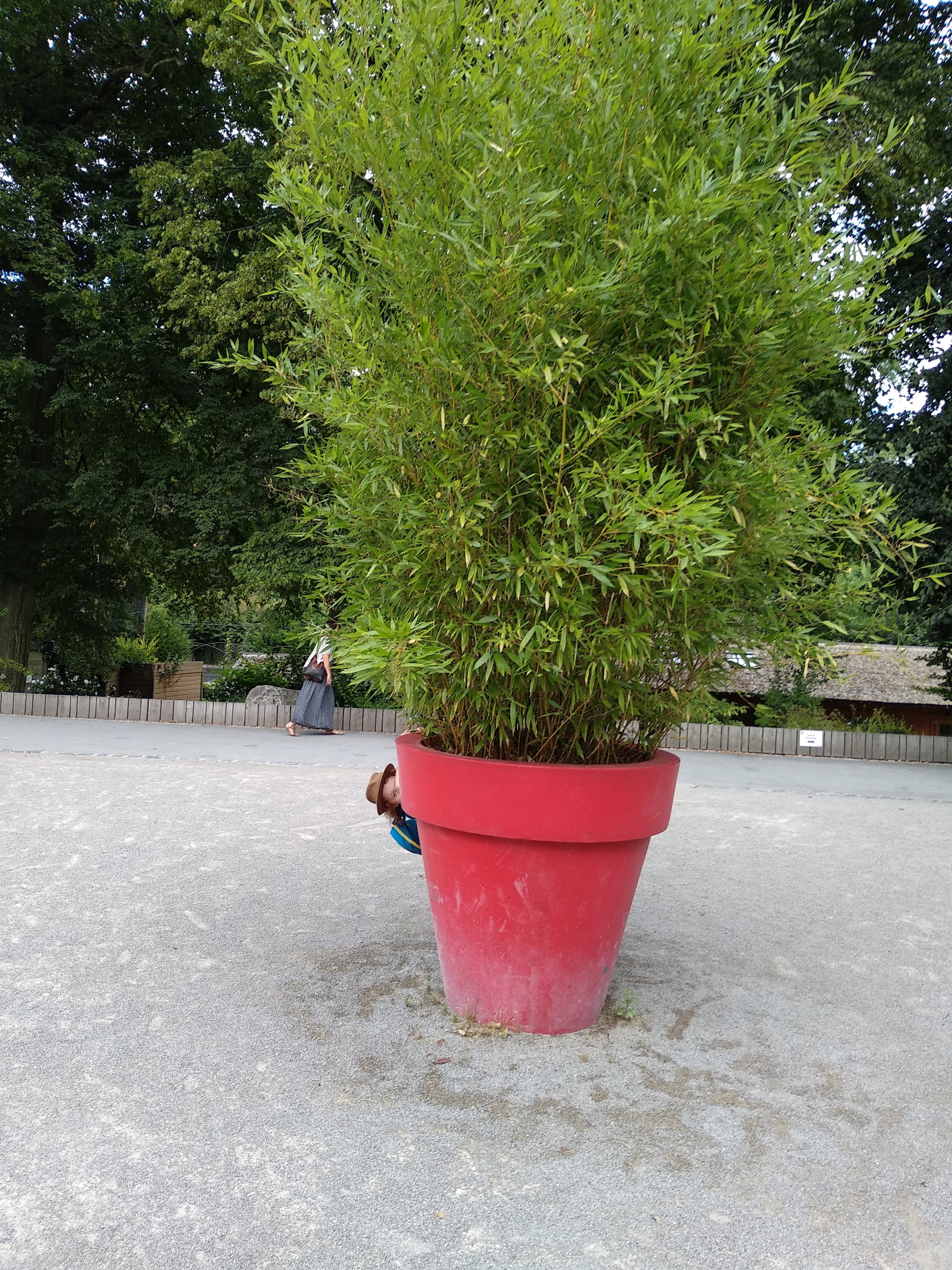 Photo n° 16 de l'avis de Xavier. fait le 10/08/2018 à 16:35