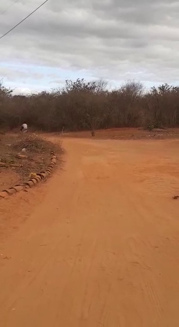 Bar do Roni - Terra de Mandioca