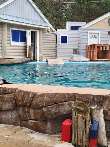 Zoo «Oceans of Fun», reviews and photos, 10001 W Bluemound Rd, Milwaukee, WI 53226, USA