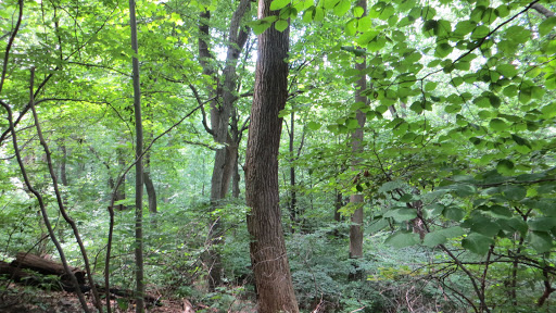 Movie Theater «AMC Loews Lincoln Square 13», reviews and photos, 1998 Broadway, New York, NY 10023, USA