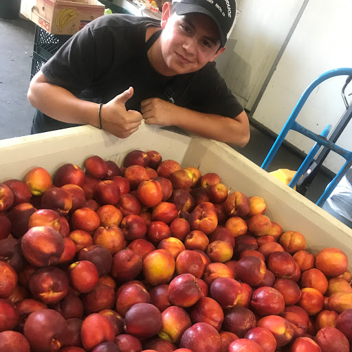 Produce Market «Pedrick Produce», reviews and photos, 6850 Sievers Rd, Dixon, CA 95620, USA