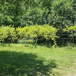 Photo n° 3 de l'avis de Fred.d fait le 24/07/2018 à 17:16 pour Le Château des Enigmes à Pons