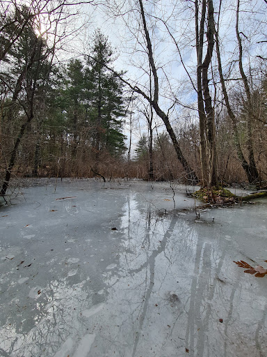 State Park «Wilson Mountain Reservation», reviews and photos, 384 Common St, Dedham, MA 02026, USA