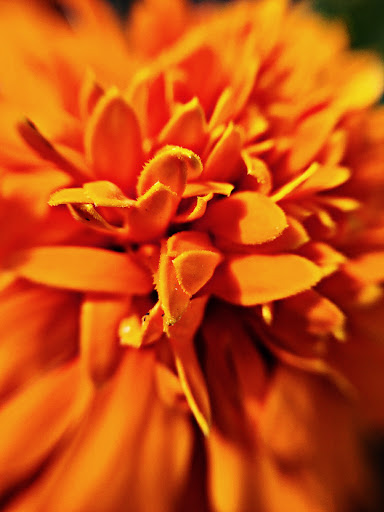 State Government Office «Wilmington State Parks», reviews and photos, 1021 W 18th St, Wilmington, DE 19802, USA