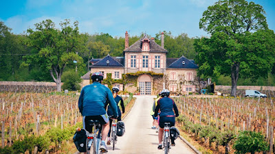 Bourgogne Evasion à Beaune