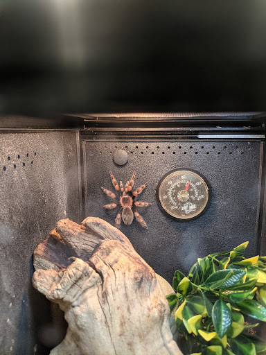 Pet Supply Store «PetSmart», reviews and photos, 2477 Naglee Rd, Tracy, CA 95304, USA