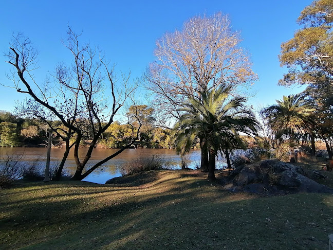 Prado de la Piedra Alta - Camping