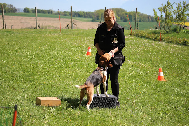 educationcaninebasvalais - Martigny