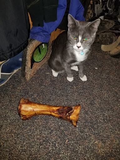 Animal Feed Store «Remnant Farms Feed & Supply», reviews and photos, 1501 Guild Rd, Woodland, WA 98674, USA