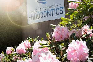 South Sound Endodontics image