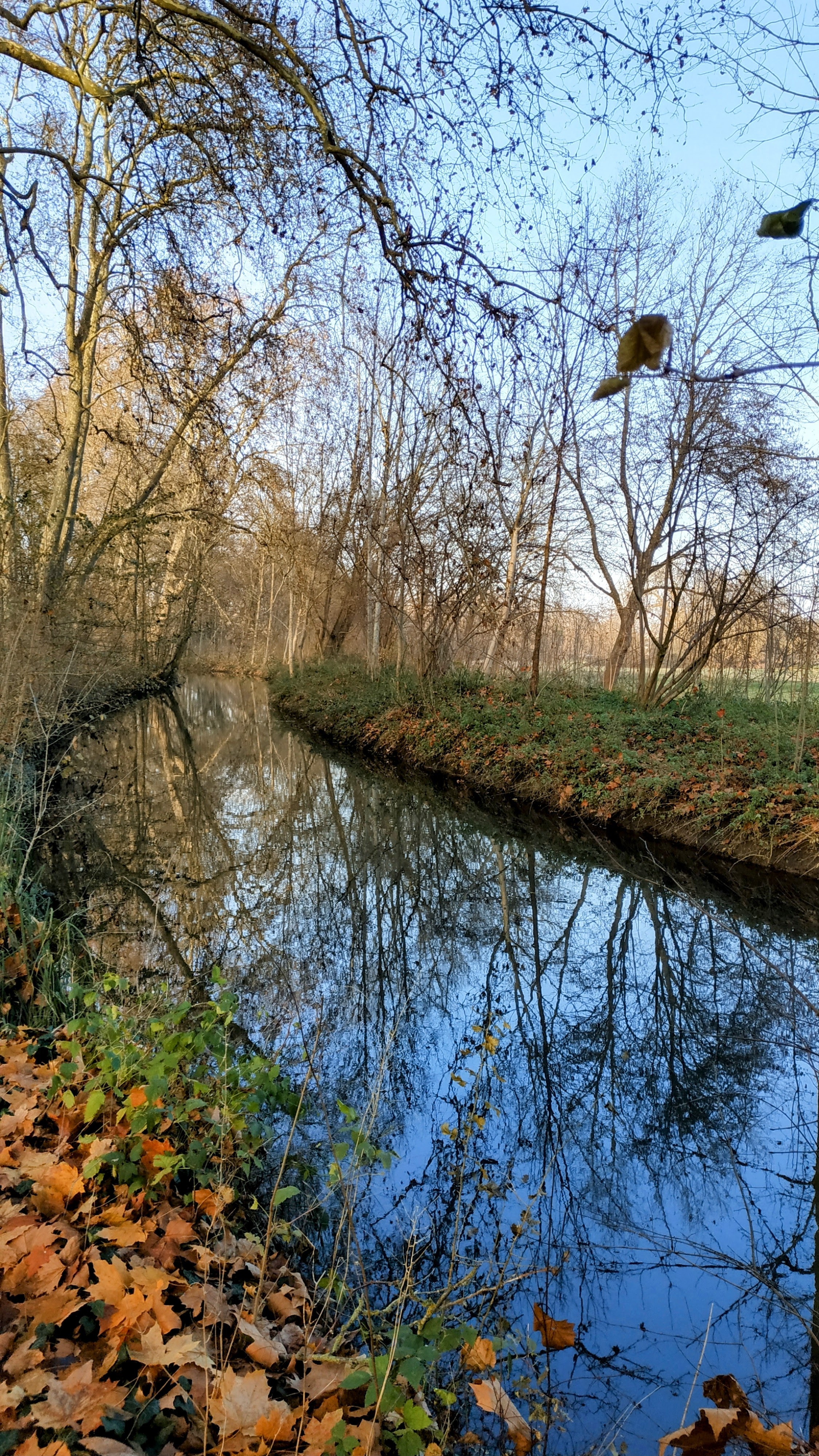 Photo n° 19 de l'avis de The.a fait le 28/12/2022 à 17:01