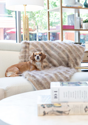 Furniture Store «HW Home Furniture Store Denver», reviews and photos, 199 Clayton Ln, Denver, CO 80206, USA