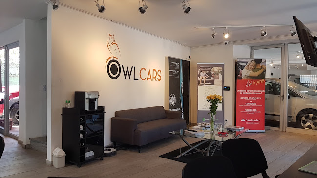 Opiniones de Owl Cars en Vitacura - Concesionario de automóviles