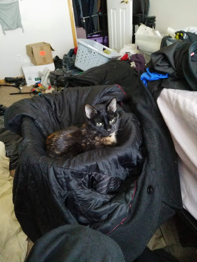 Pet Supply Store «Petco Animal Supplies», reviews and photos, 1970 S Robert St, West St Paul, MN 55118, USA