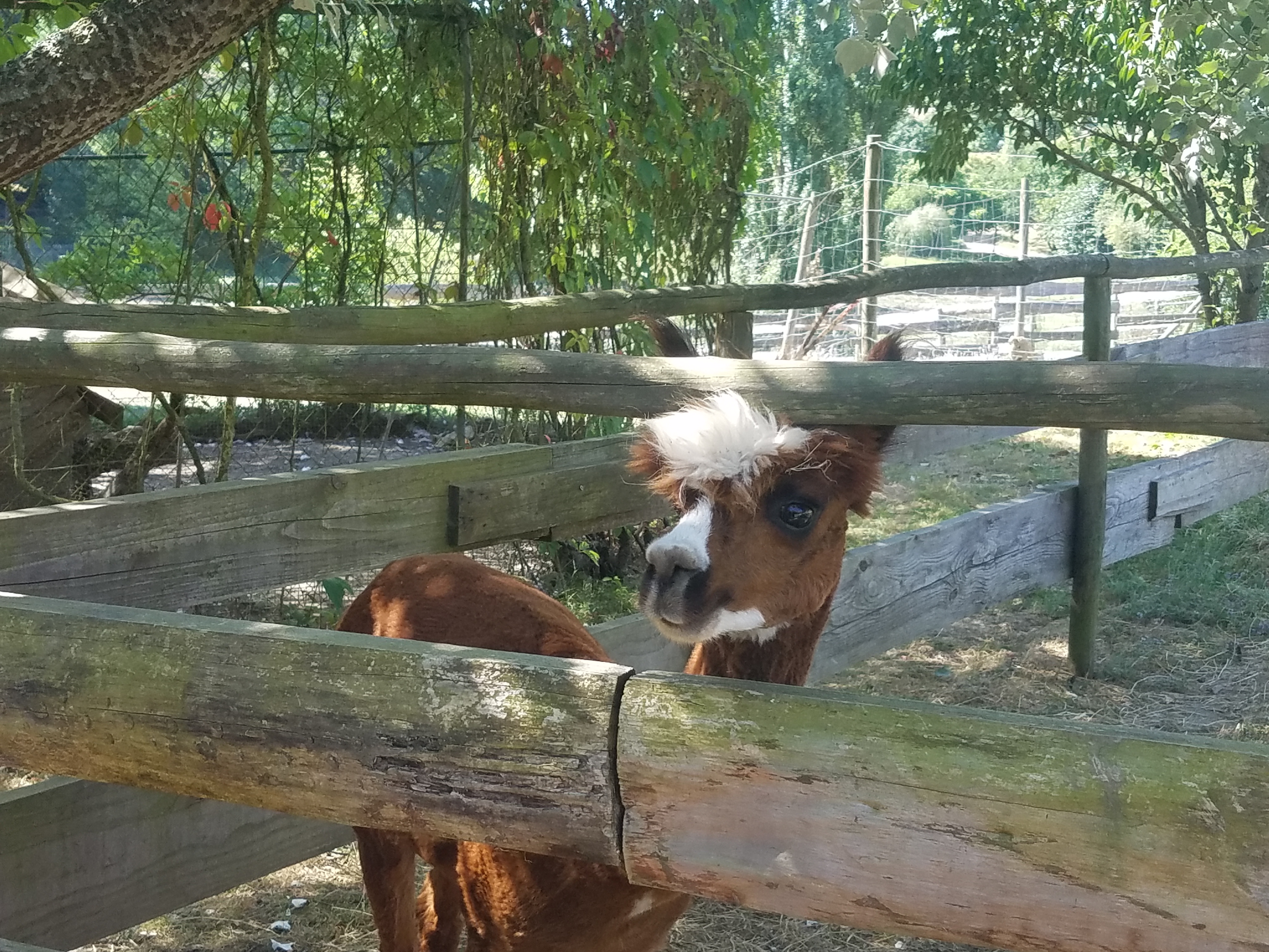 Photo n° 15 de l'avis de Jenny.o fait le 03/08/2018 à 15:13