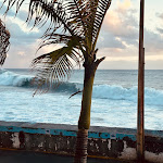 Photo n°8 de l'avis de Brad.i fait le 07/03/2024 à 19:42 sur le  Maktub Pub à Paul do Mar