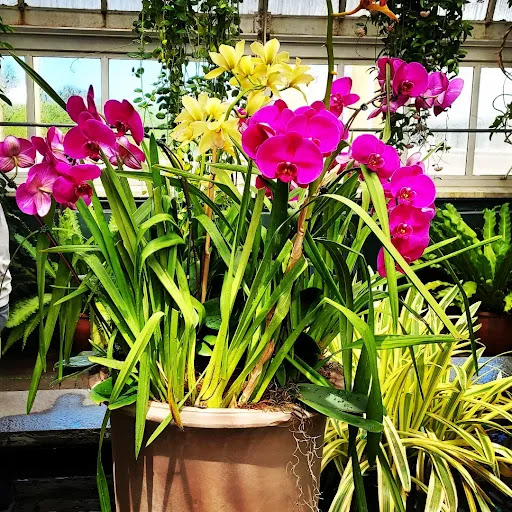 Gift Shop «NYBG Shop», reviews and photos, 2900 Southern Blvd, Bronx, NY 10458, USA