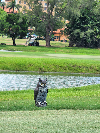 Golf Course «Biltmore Golf Course», reviews and photos, 1210 Anastasia Ave, Coral Gables, FL 33134, USA