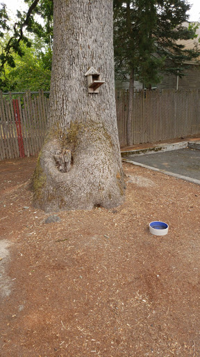 Farm «Aloha Feed Garden & Pet LLC», reviews and photos, 18840 SW Alexander St, Beaverton, OR 97006, USA