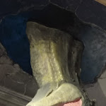 Photo n°3 de l'avis de Giovanna.o fait le 02/05/2022 à 20:31 sur le  Lumos Pub à Ercolano