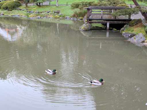 Botanical Garden «Washington Park Arboretum - UW Botanic Gardens», reviews and photos, 2300 Arboretum Dr E, Seattle, WA 98112, USA