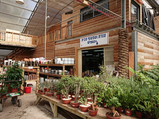 Nursery hours Jerusalem