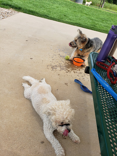 Dog Park «Irving Dog Park», reviews and photos, 4140 Valley View Ln, Irving, TX 75038, USA
