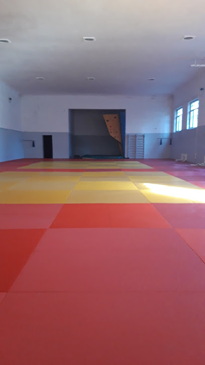 ძიუდო judo შევარდენი 2 - PQ6X+49X, Davit Aghmashenebeli Ave, Tbilisi, Georgia