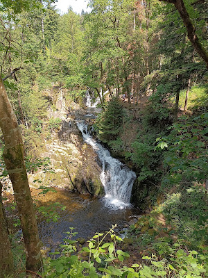 Saut du Bouchot à Sapois