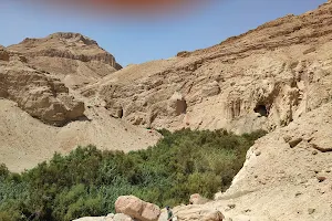 Wadi Bokek image