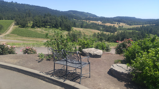 Winery «Colene Clemens Vineyards», reviews and photos, 22501 NE Dopp Rd, Newberg, OR 97132, USA