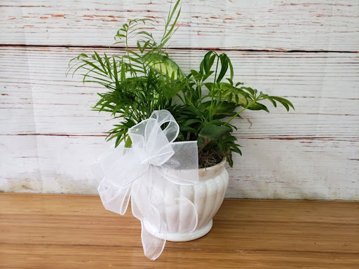 Florist «Westside Gardens Florist», reviews and photos, 4365 Buffalo Rd, North Chili, NY 14514, USA