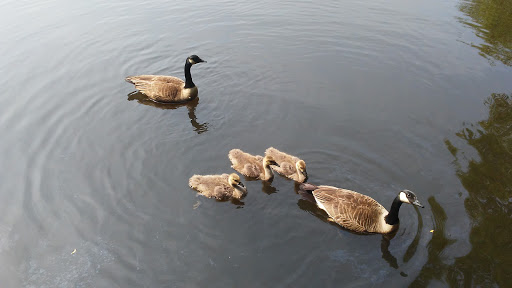 Park «Guilford Park», reviews and photos, 9900 Guilford Rd, Jessup, MD 20794, USA