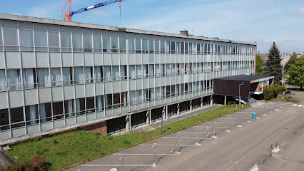 Collège et Institut Saint-Louis