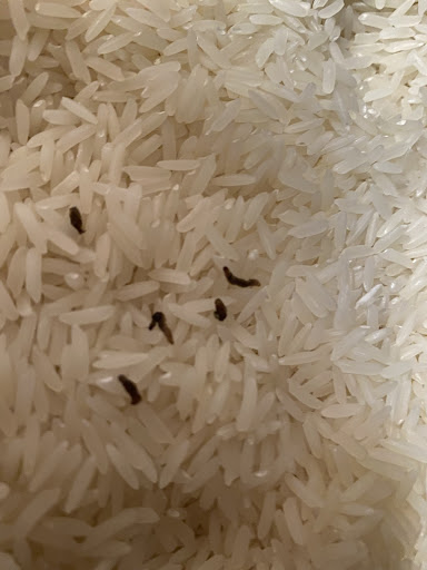 Asian Grocery Store «International Supermarket», reviews and photos, 4520 N Tryon St # 45, Charlotte, NC 28213, USA