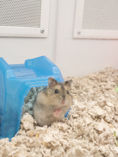 Pet Supply Store «Petco Animal Supplies», reviews and photos, 85 State St, Orem, UT 84058, USA