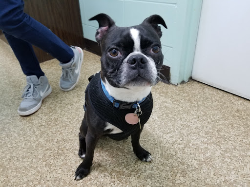 Woodmar Animal Clinic image