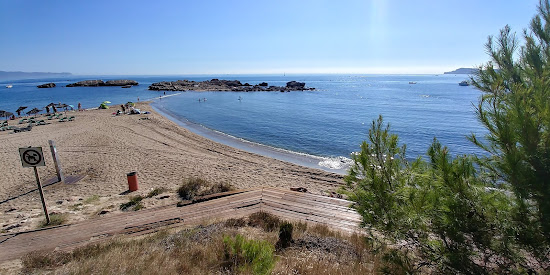 Les Muscleres Beach