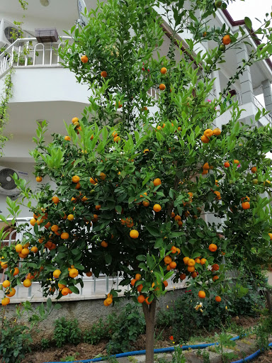 Fethiye Gençlik Ve Spor Müdürlüğü